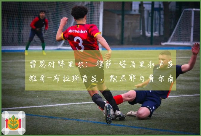 雷恩对阵里尔：穆萨-塔马里和卢多维奇-布拉斯首发，默尼耶与费尔南德斯-帕尔多出场