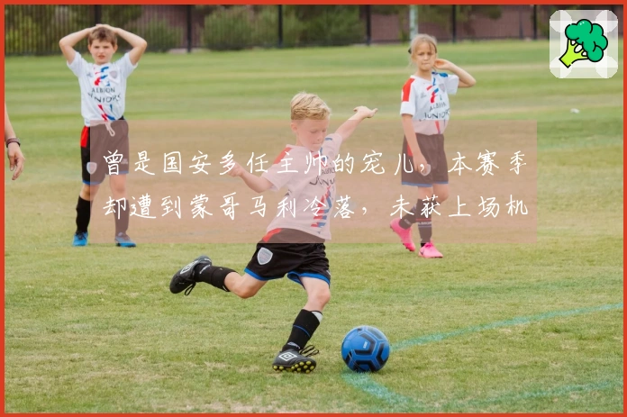 曾是国安多任主帅的宠儿，本赛季却遭到蒙哥马利冷落，未获上场机会