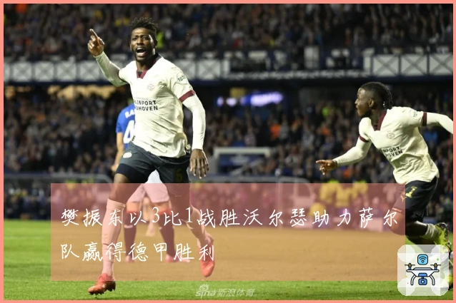 樊振东以3比1战胜沃尔瑟助力萨尔队赢得德甲胜利